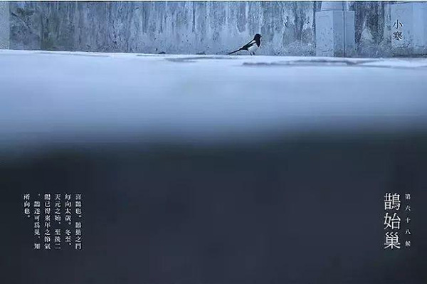 ¶ѧУ