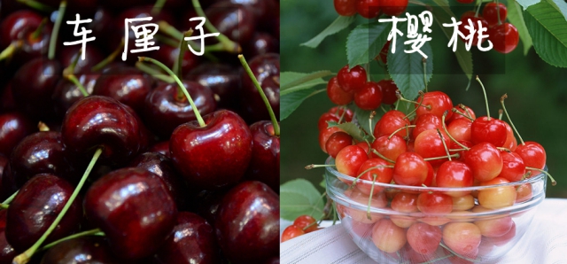 Ͳܵǲһ£Ӻӣʲôϵ