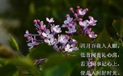 ¶ѧУ